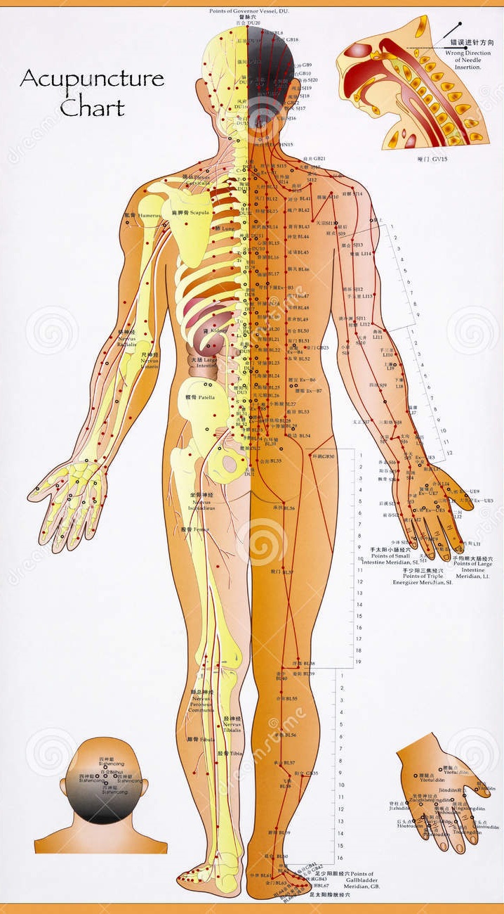 Acupuncture chart