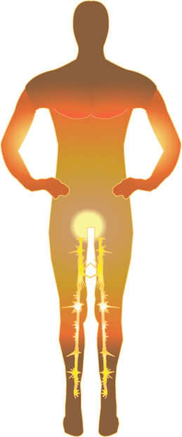 Kundalini’s arousal in the thighs, legs and feet
