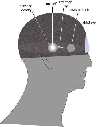 Components in the head