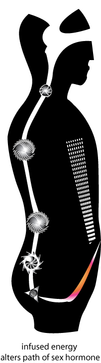 Infused energy alters path of sex hormone