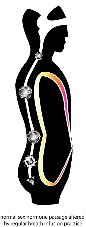 Normal sex hormone passage altered by regular breath infusion practice