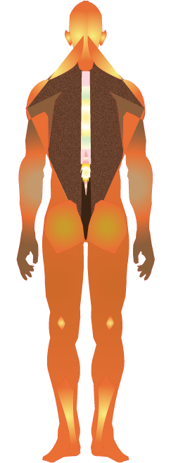 Kundalini in spine