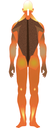 Kundalini in the head