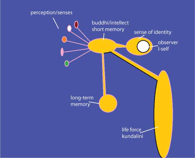 Components of psyche