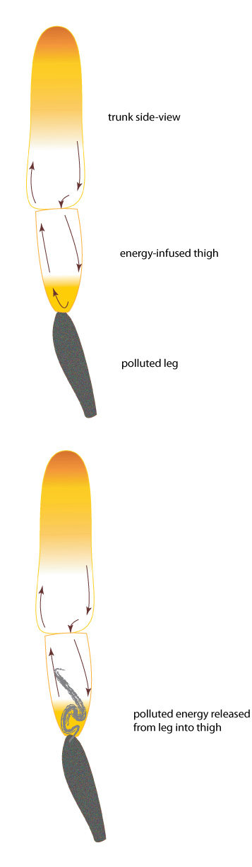 Yogi Thigh-Leg Infusion