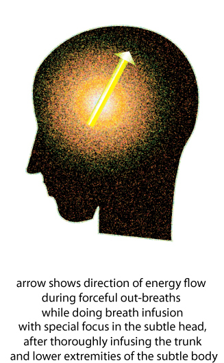 Head Infusion Practice