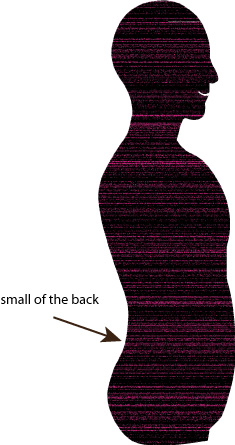 small of the back