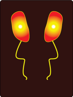 Energy from the genitals is separate