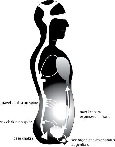 Chakras