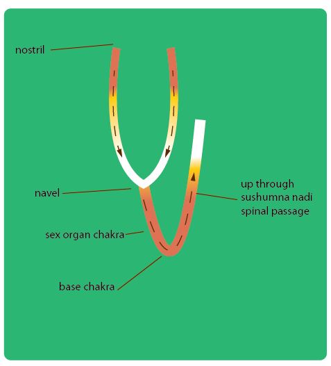 Old configuration of the breath energy passage