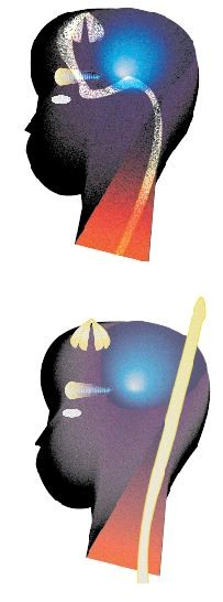 Kundalini entering the back of the head