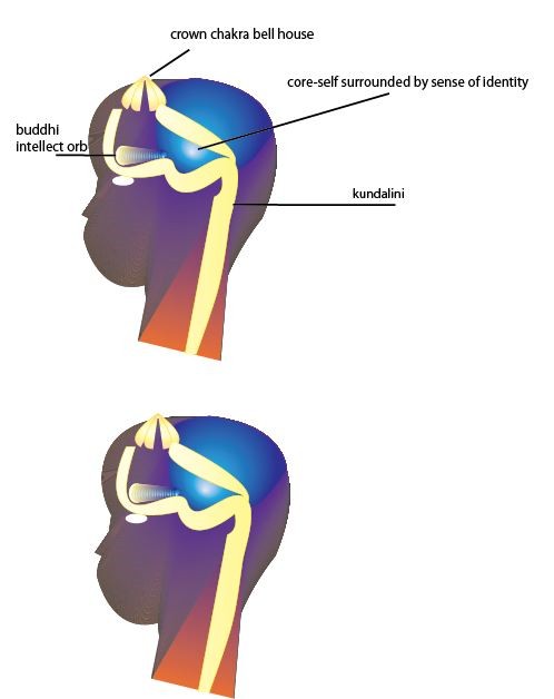 Kundalini entering the head and reaching buddhi organ