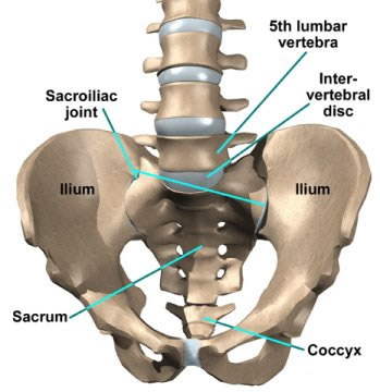 Lumbar area