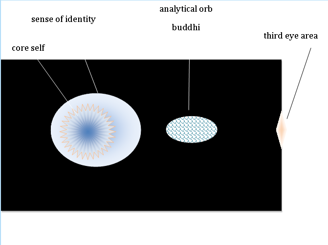 Sense of Identity Surround