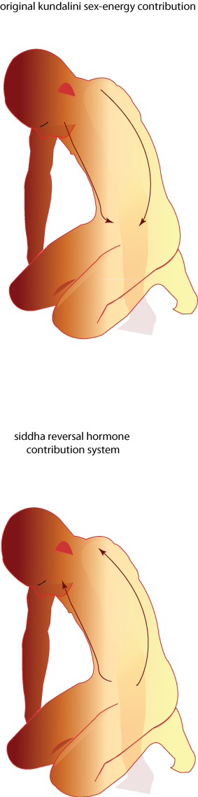 original kundalini sex-energy contribution
