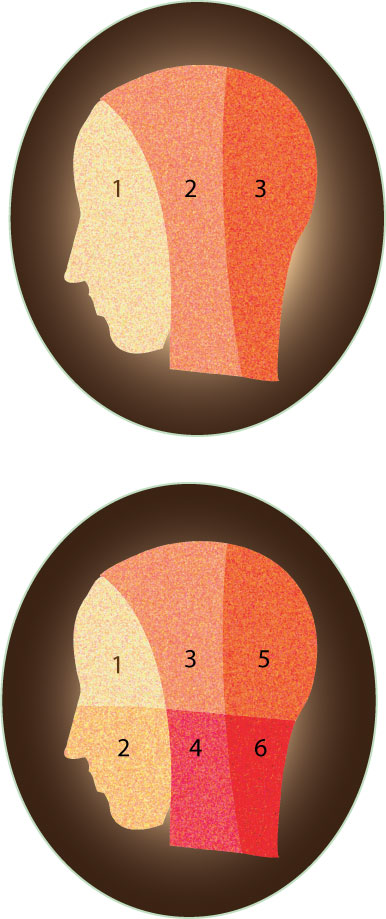 Head Infusion