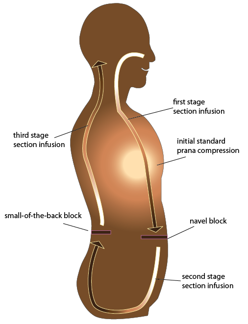 Breath Infusion stages