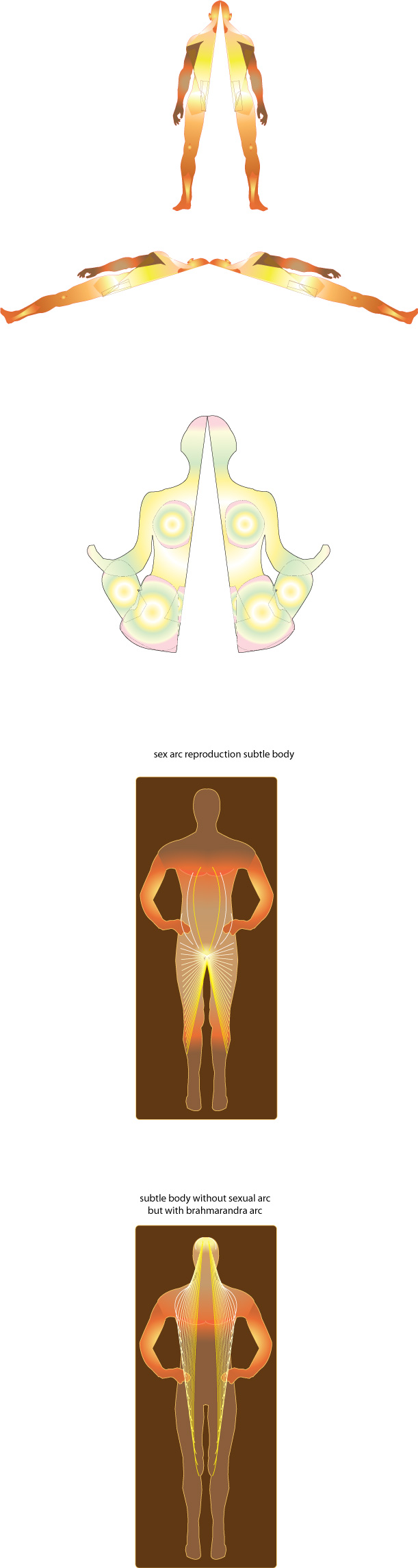 Sex Split Diagrams