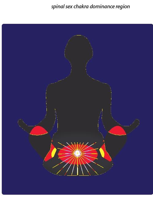 spinal sex chakra dominance region
