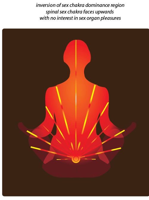 inversion of sex chakra dominance region