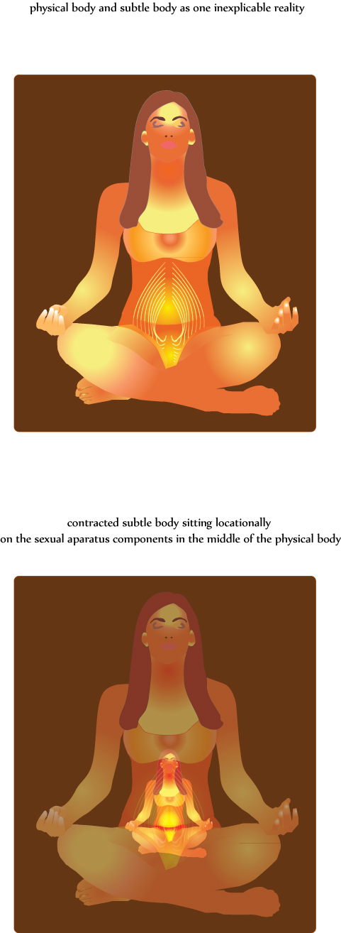 Physical Body or Sexual Detachment