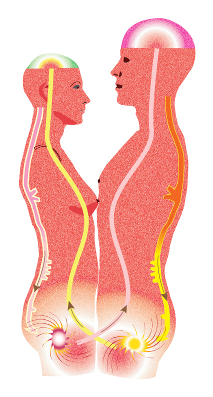 Tantric Reverse Procedure
