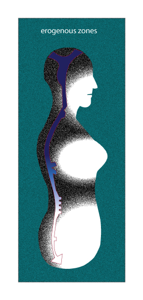 Erogenous zones