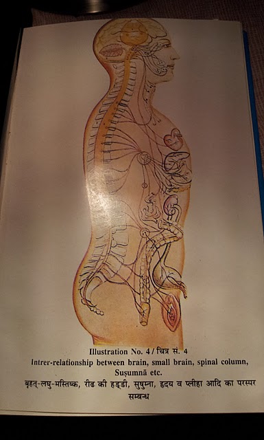 Illustration No. 4