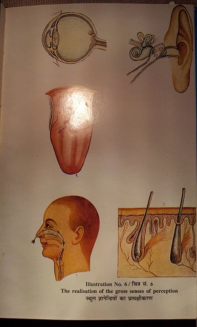 Illustration No. 6