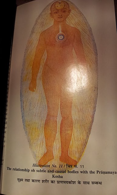Illustration No. 11