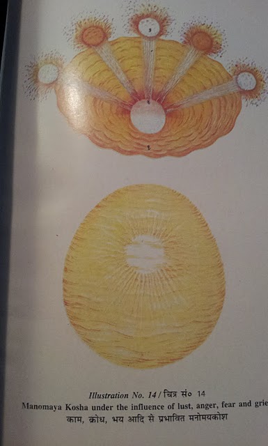 Illustration No. 14