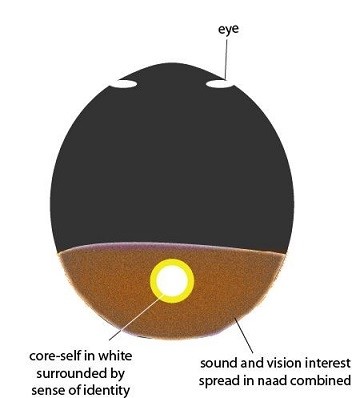 Sound and Vision Interest in Naad