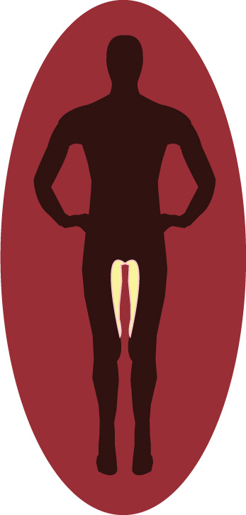 Light in the inner thigh