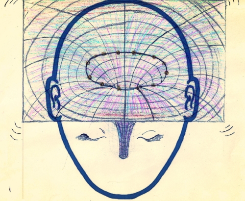 Toroidal field collapse down into a flat like disc vortex
