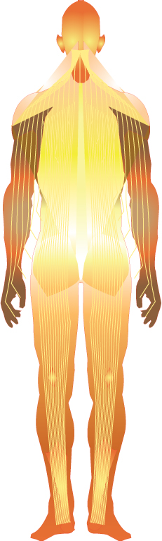 kundalini after it is lifted and uprooted from muladhara chakra