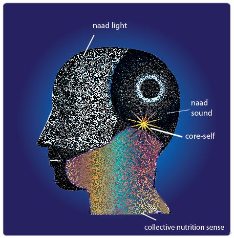 Khecari Mudra or Nutrition Sense Retracted