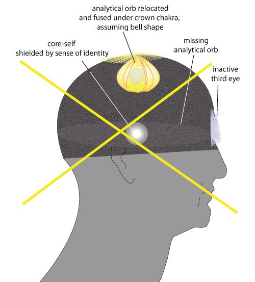 crown chakra is activated 