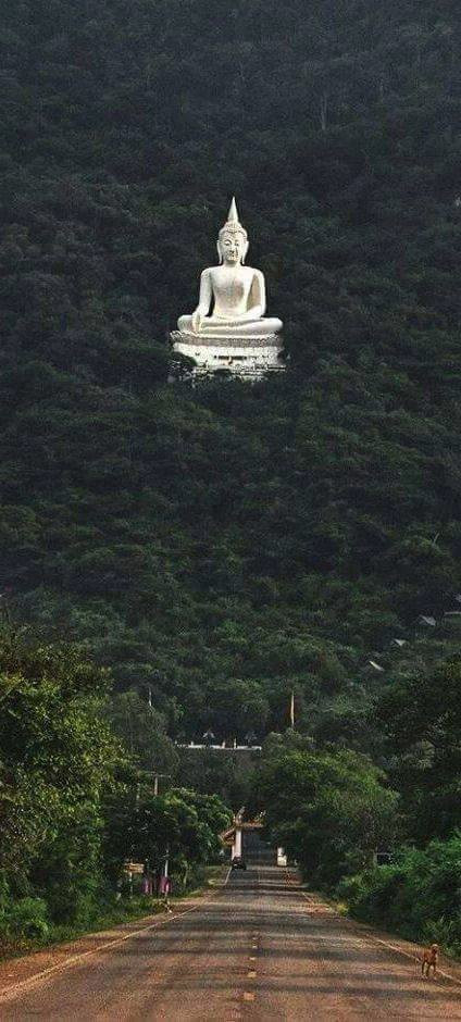 Buddha Deity in Forest Pak Chong, Korat, Thailand